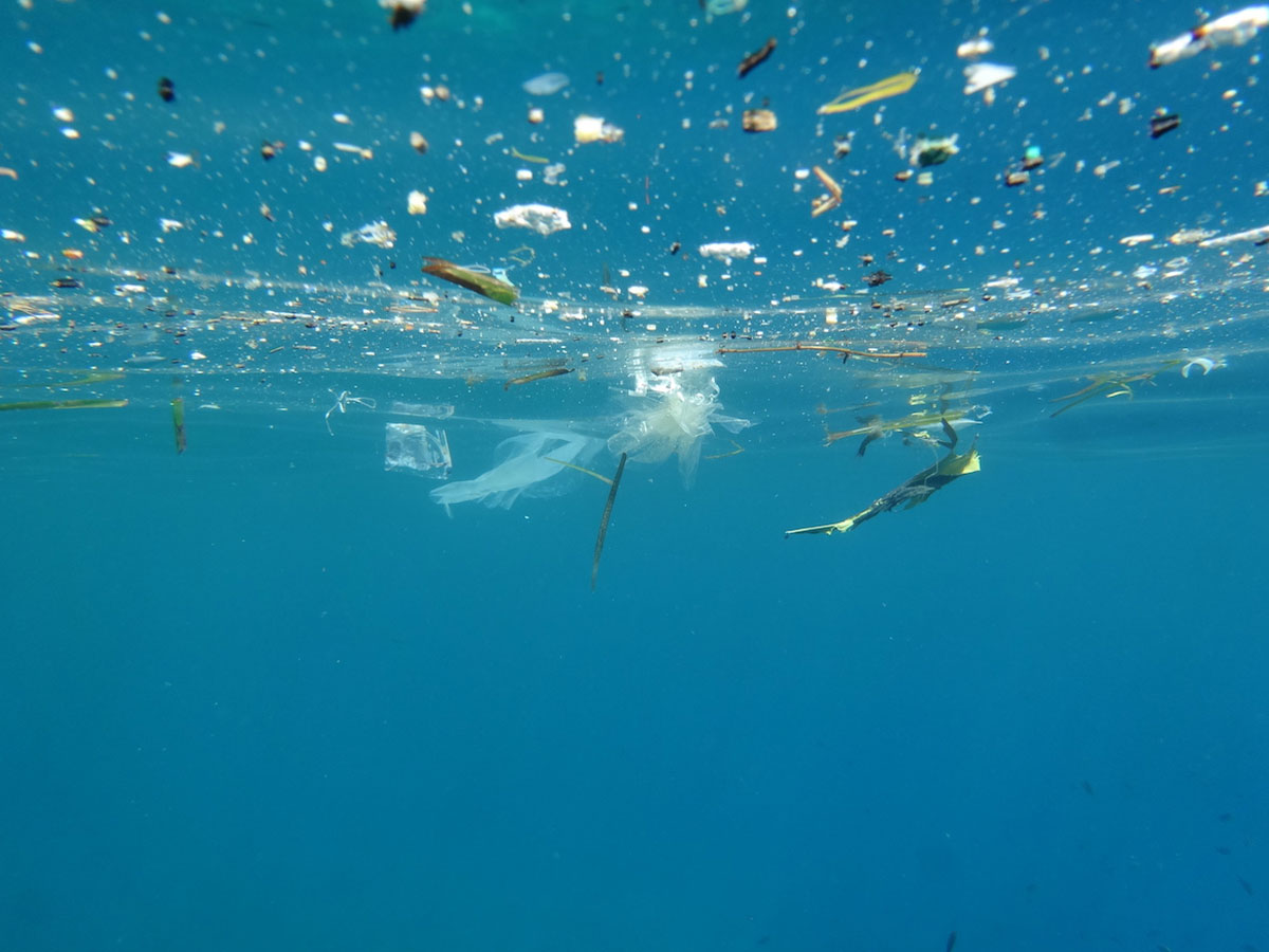 SCA Group Supports Bemed’s Efforts to Reduce Plastic Pollution in the Mediterranean