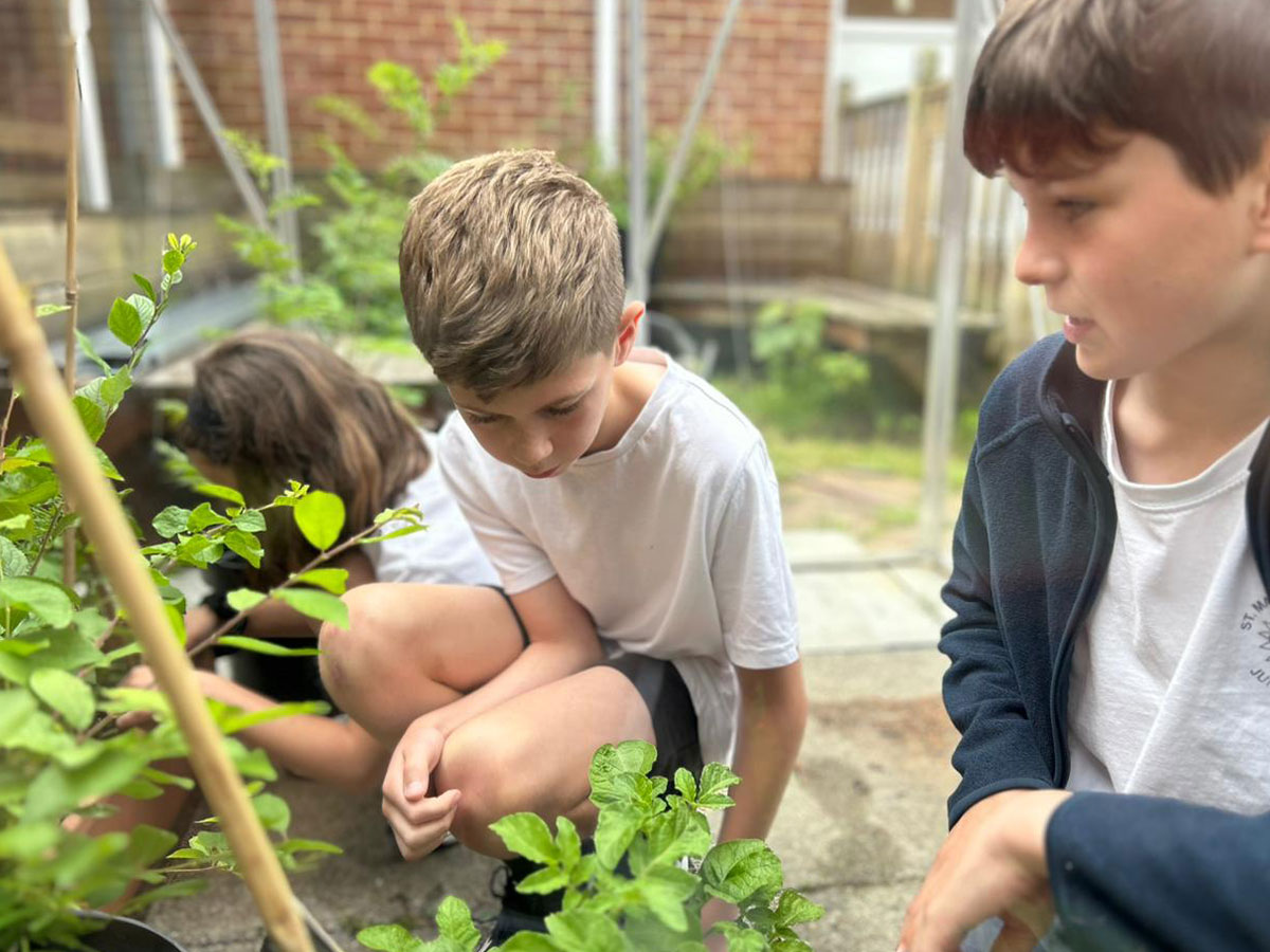 SCA Group Helps Cultivate Learning and Sustainability at Rainham School
