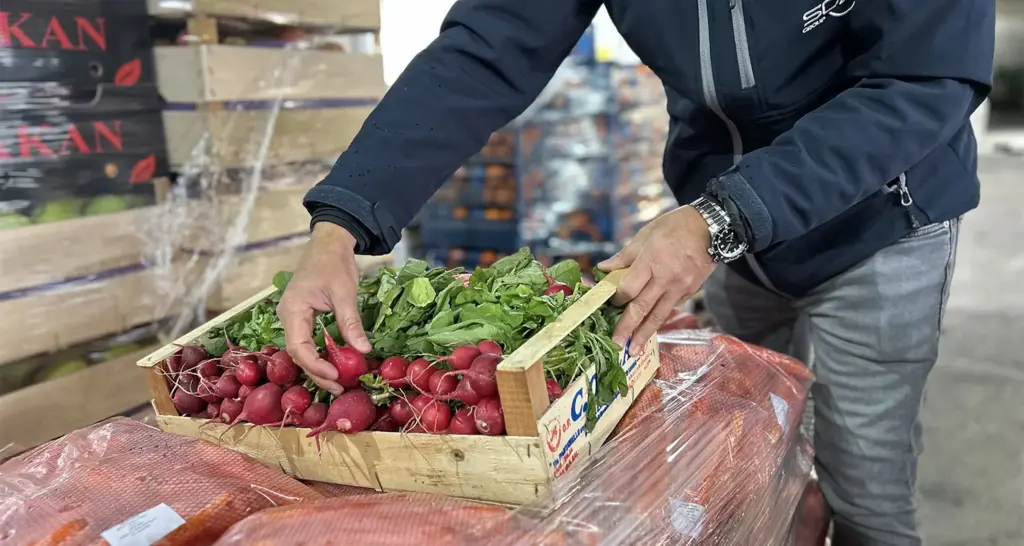 Standalone Food Supply vs Integrated Catering Support: What Changes Operationally?
